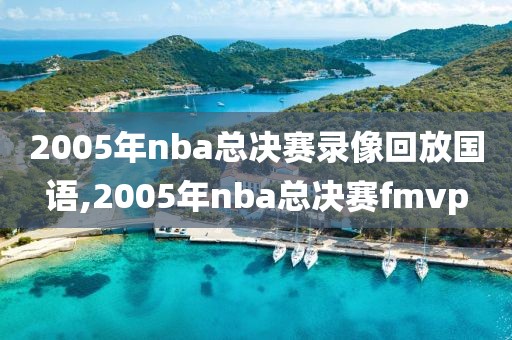 2005年nba总决赛录像回放国语,2005年nba总决赛fmvp