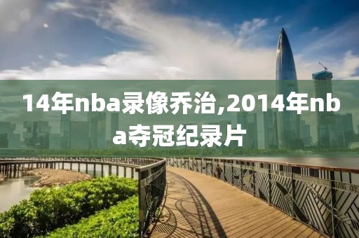 14年nba录像乔治,2014年nba夺冠纪录片