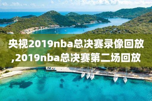 央视2019nba总决赛录像回放,2019nba总决赛第二场回放