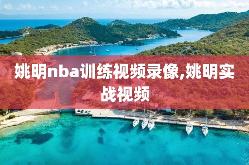姚明nba训练视频录像,姚明实战视频