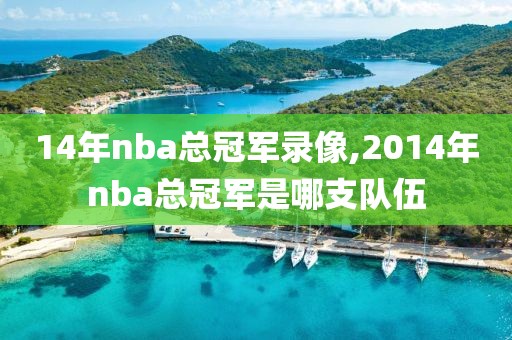 14年nba总冠军录像,2014年nba总冠军是哪支队伍