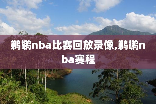 鹈鹕nba比赛回放录像,鹈鹕nba赛程