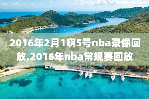2016年2月1啊5号nba录像回放,2016年nba常规赛回放