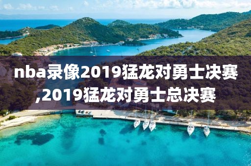 nba录像2019猛龙对勇士决赛,2019猛龙对勇士总决赛