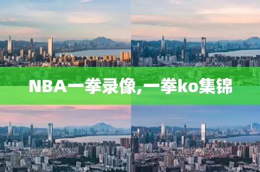 NBA一拳录像,一拳ko集锦