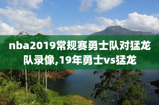 nba2019常规赛勇士队对猛龙队录像,19年勇士vs猛龙