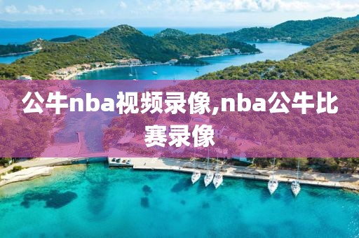 公牛nba视频录像,nba公牛比赛录像