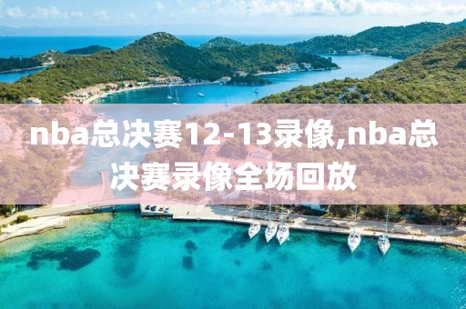 nba总决赛12-13录像,nba总决赛录像全场回放